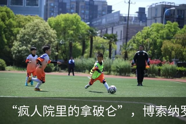“疯人院里的拿破仑”，博索纳罗遭到各国网民群嘲
