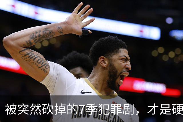 被突然砍掉的7季犯罪剧，才是硬汉剧该有的样子