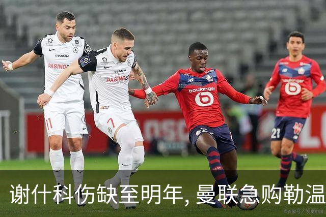谢什科伤缺至明年, 曼联急购勒温补锋线